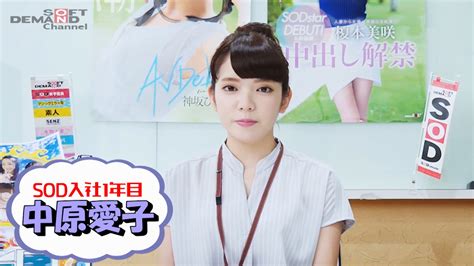 中原愛子動画|中原愛子出演のAV映画をオンラインで見る